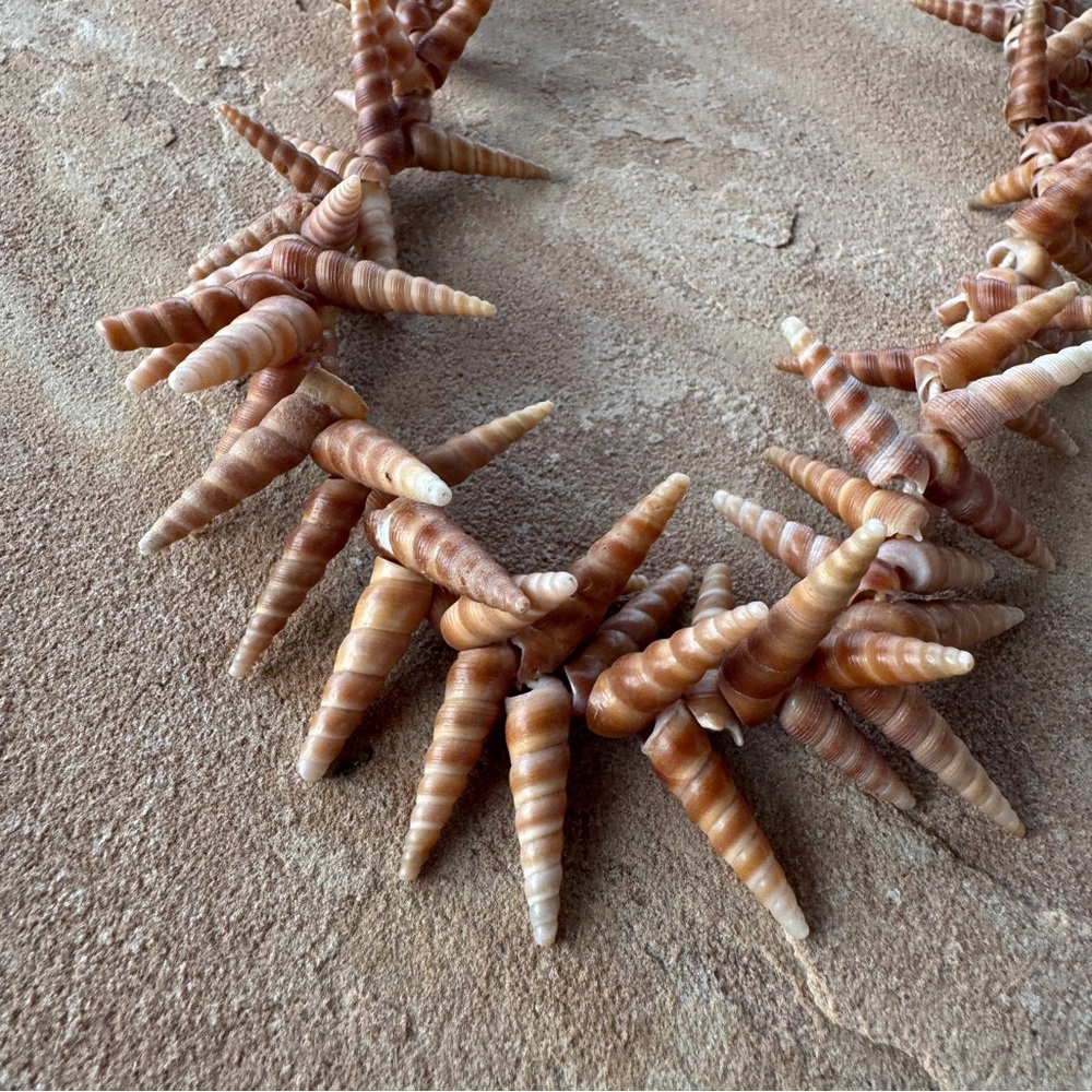 Mermaid Turritella Unicorn Horn Spiral Beachy Boho Shell Necklace Strand 48” - Picture 4 of 11